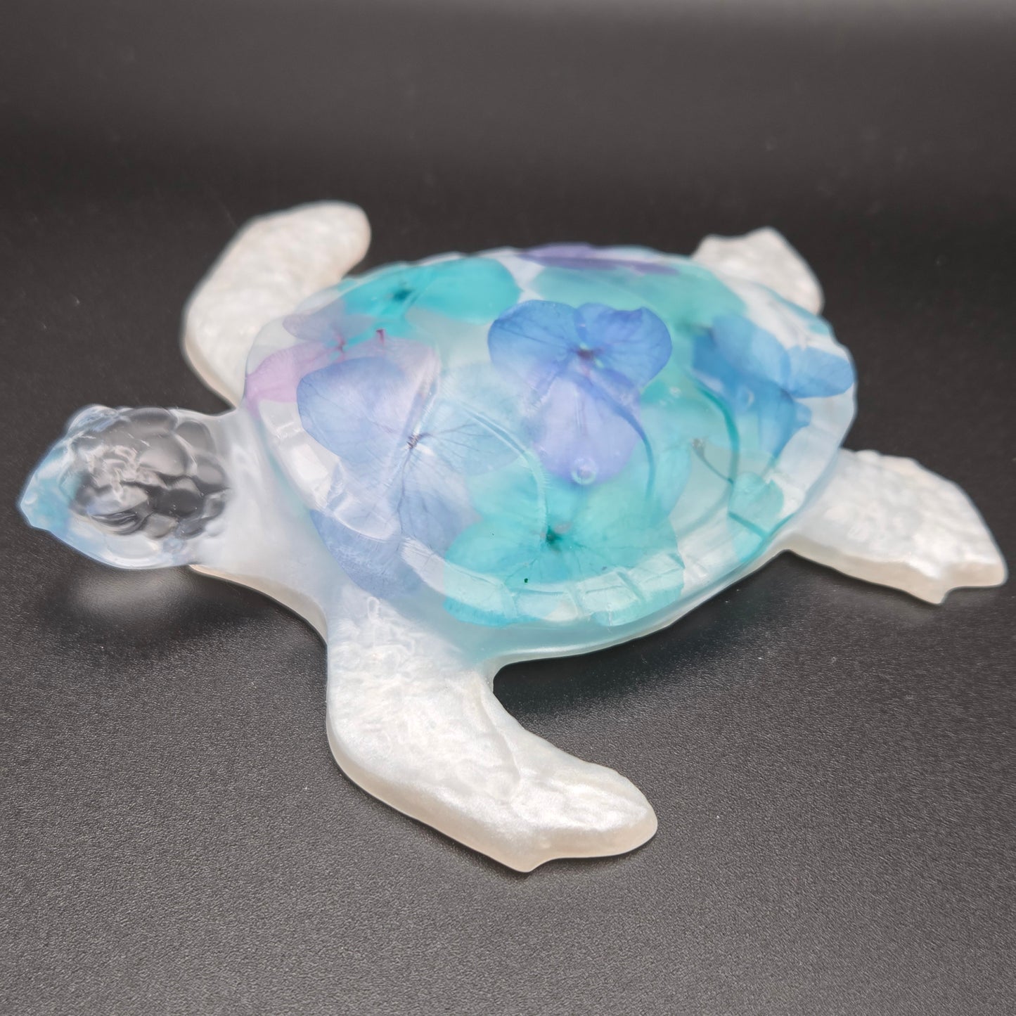 Shellbie - Resin Turtle Oddity
