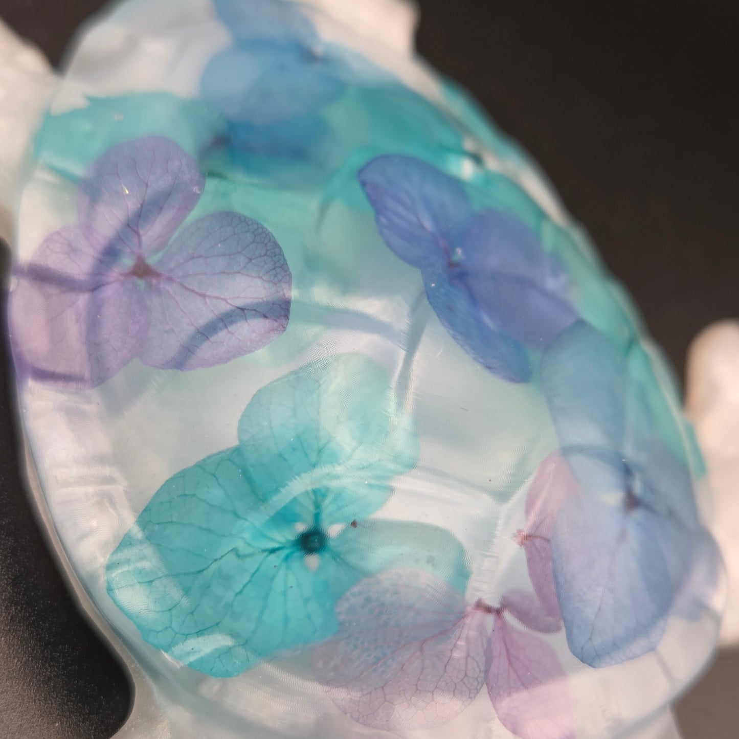 Shellbie - Resin Turtle Oddity